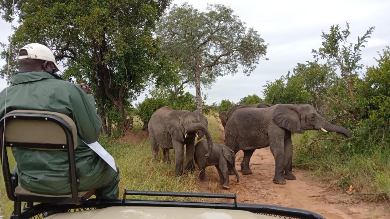 Elephant Plains Game Lodge Резерват Саби Сенд Гейм Екстериор снимка